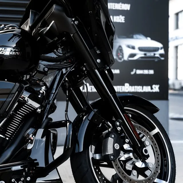 HARLEY-DAVIDSON - asset 9